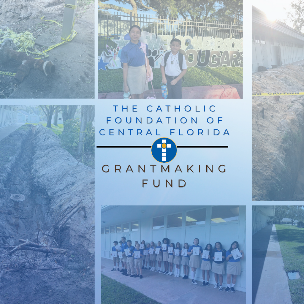 Donation button Greatest need grant (1)