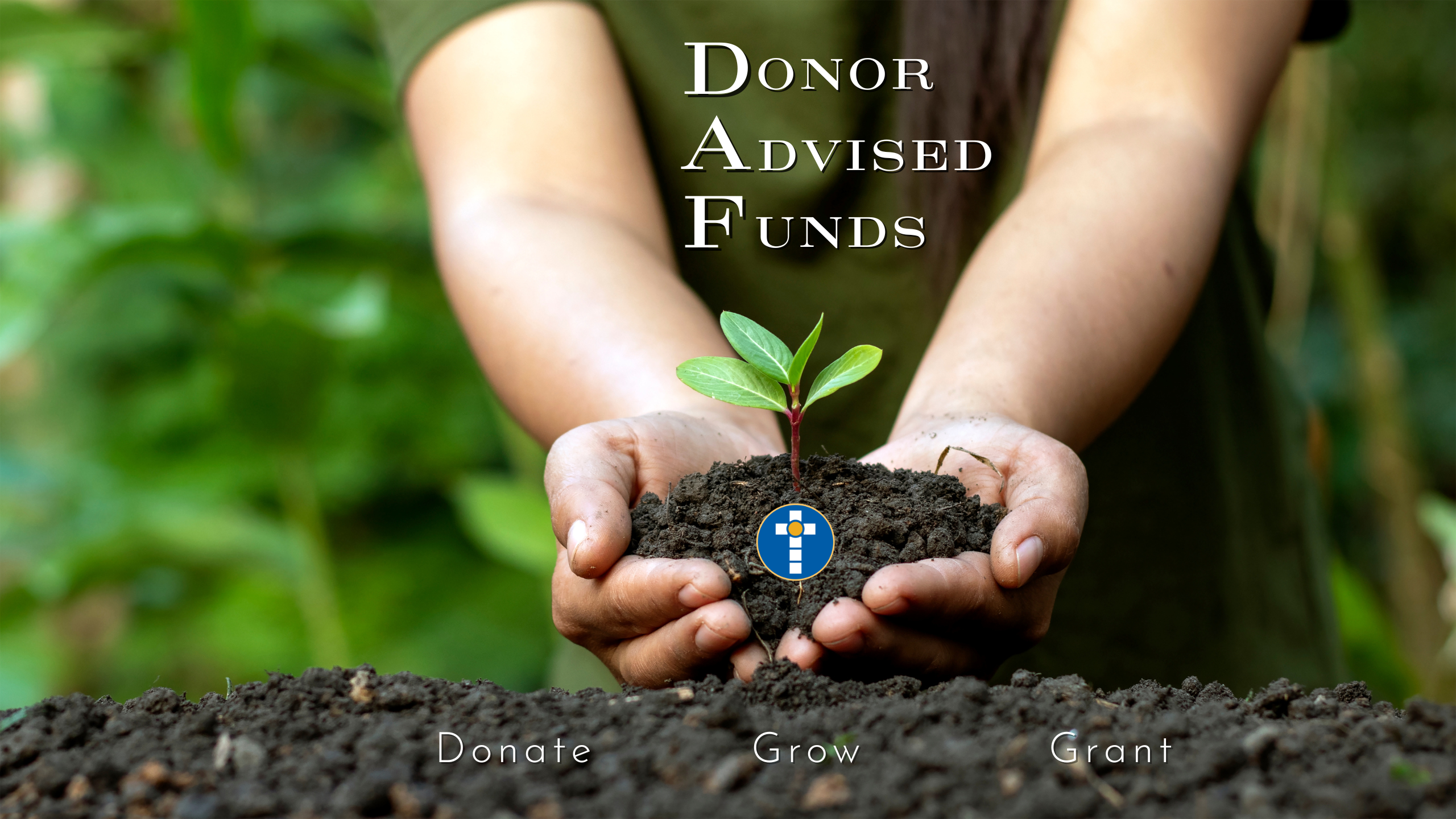 DAF Establish A Fund Button