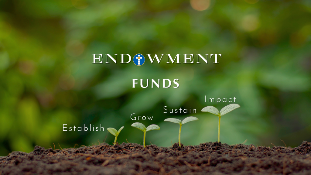 Endowment Funds page button